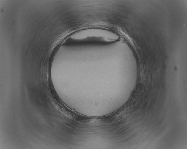 X0000062890059200602101751