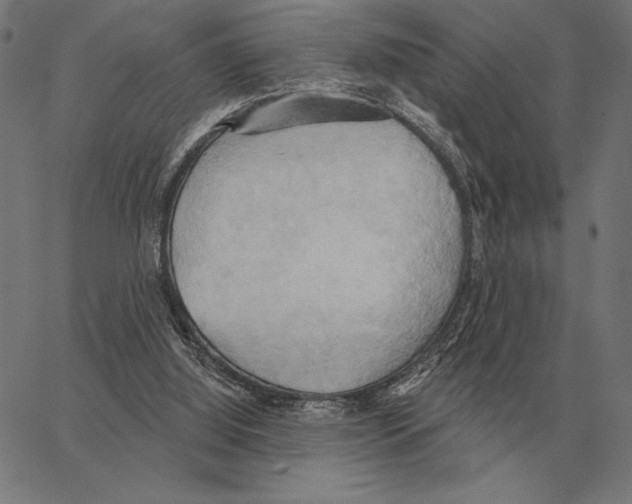 X0000062890060200602101751