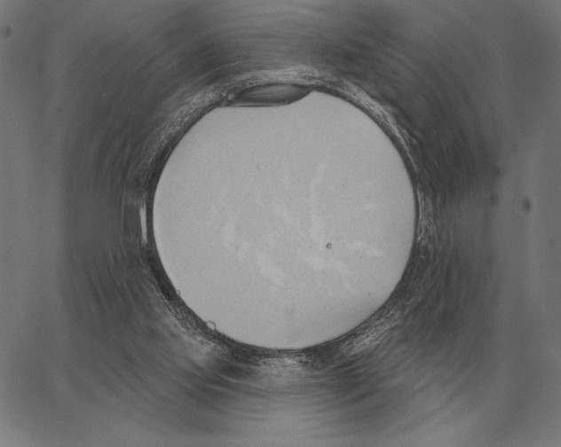 X0000062890061200602101751