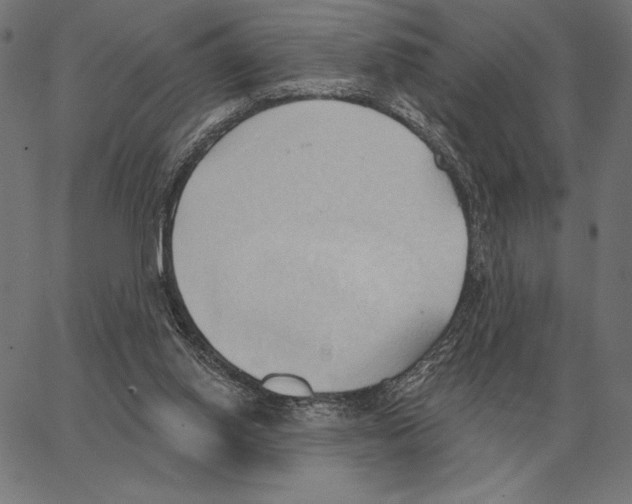 X0000062890062200602101751