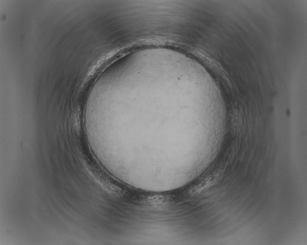 X0000062890064200602101751