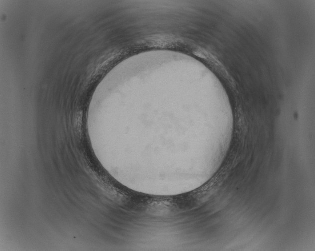 X0000062890066200602101751