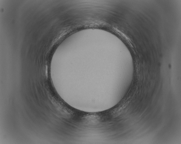 X0000062890067200602101751