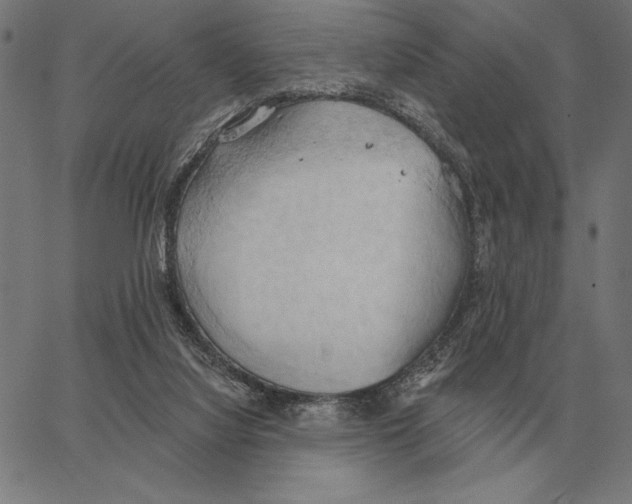 X0000062890068200602101751