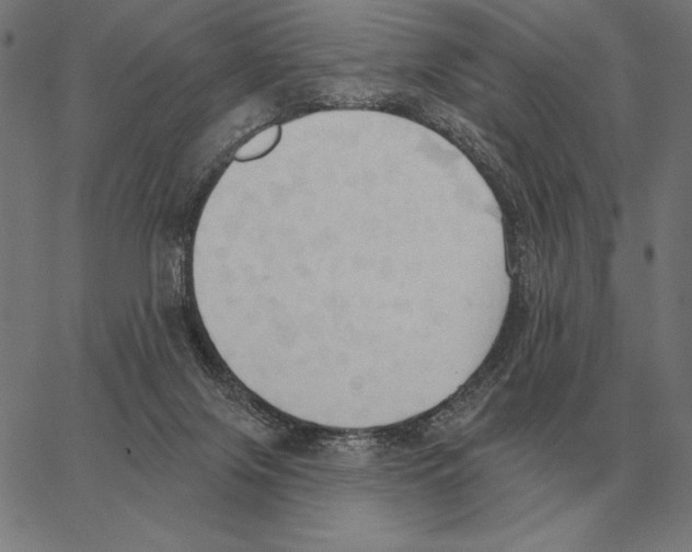 X0000062890071200602101752