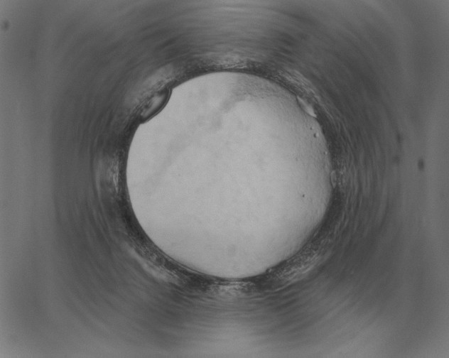 X0000062890072200602101752