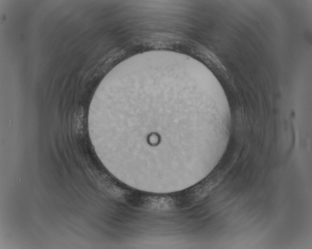 X0000062890073200602101752