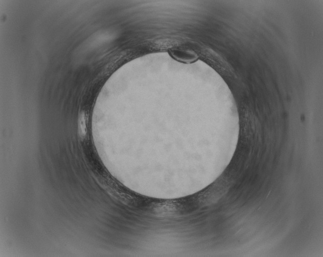 X0000062890075200602101752