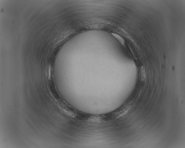 X0000062890076200602101752