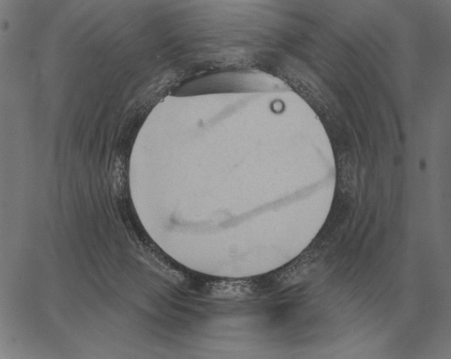 X0000062890077200602101752