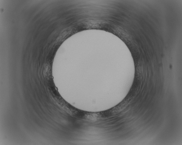 X0000062890079200602101752