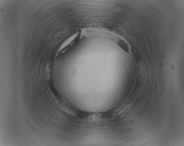 X0000062890080200602101752