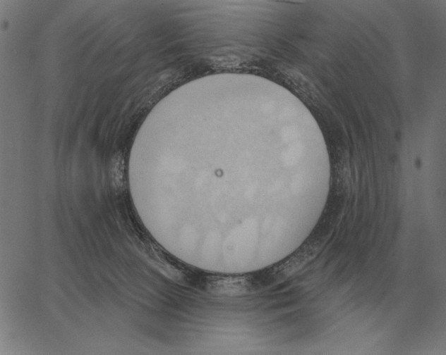 X0000062890081200602101752