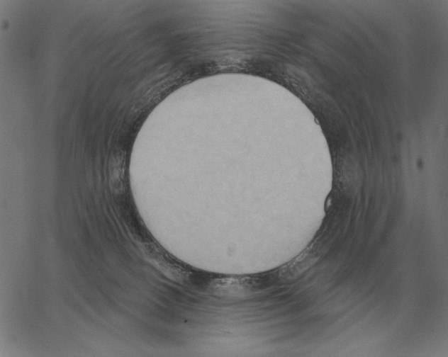 X0000062890082200602101752