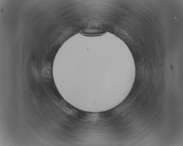 X0000062890083200602101752