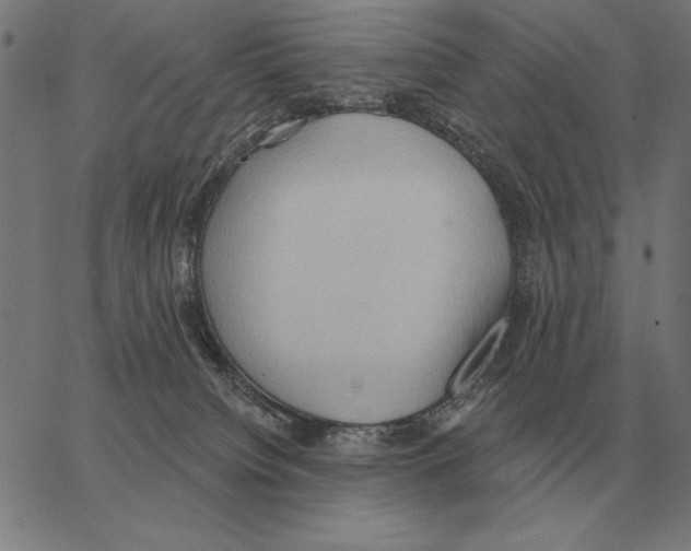 X0000062890084200602101752