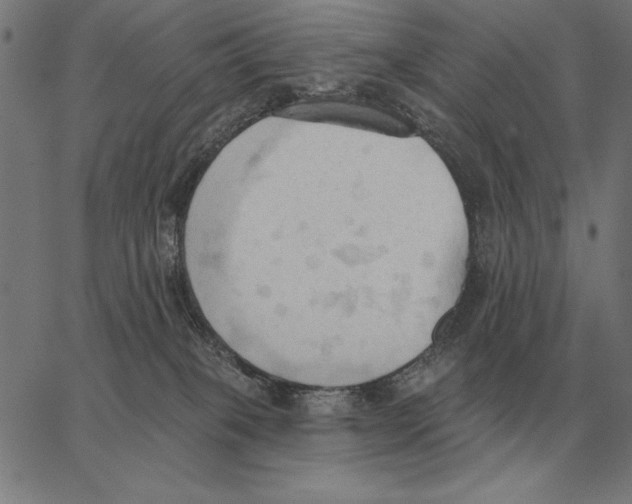 X0000062890085200602101752