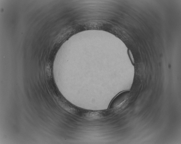 X0000062890086200602101752