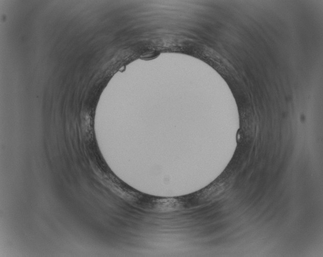 X0000062890087200602101752