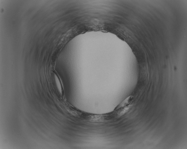 X0000062890088200602101752