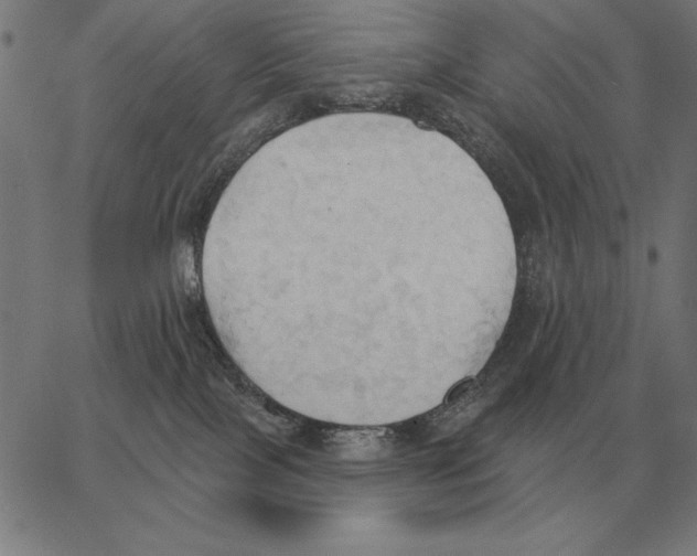 X0000062890089200602101752