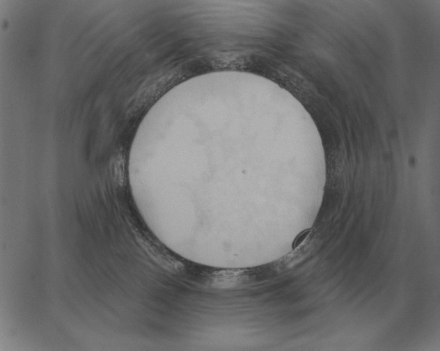 X0000062890090200602101752