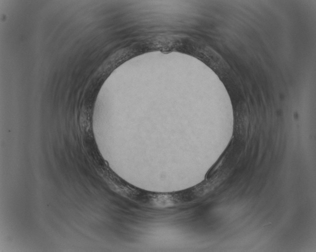 X0000062890091200602101752