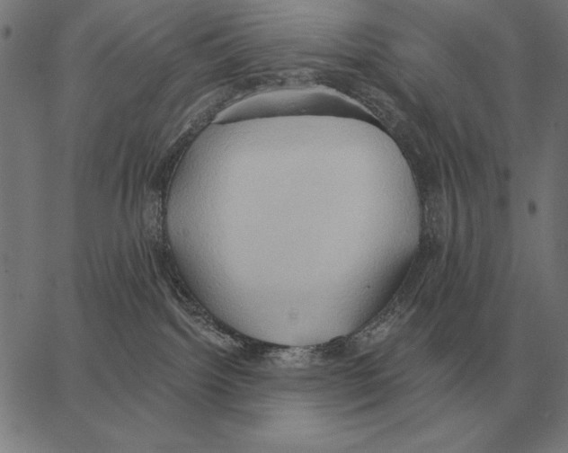 X0000062890092200602101752