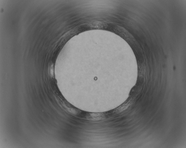 X0000062890095200602101752