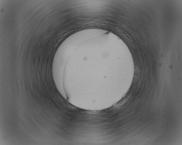 X0000062890096200602101752