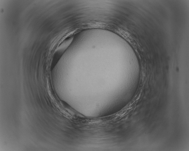 X0000062890097200602101751