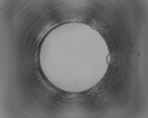 X0000062890098200602101751