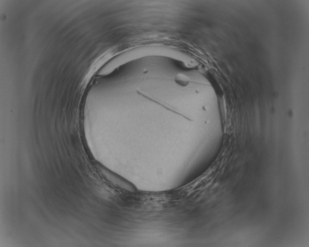 X0000062890099200602101751