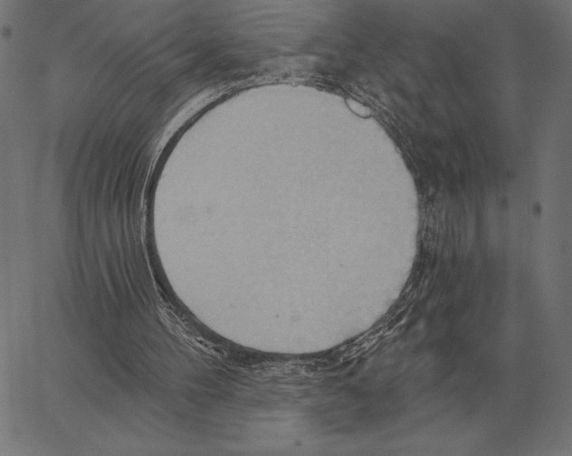 X0000062890100200602101751