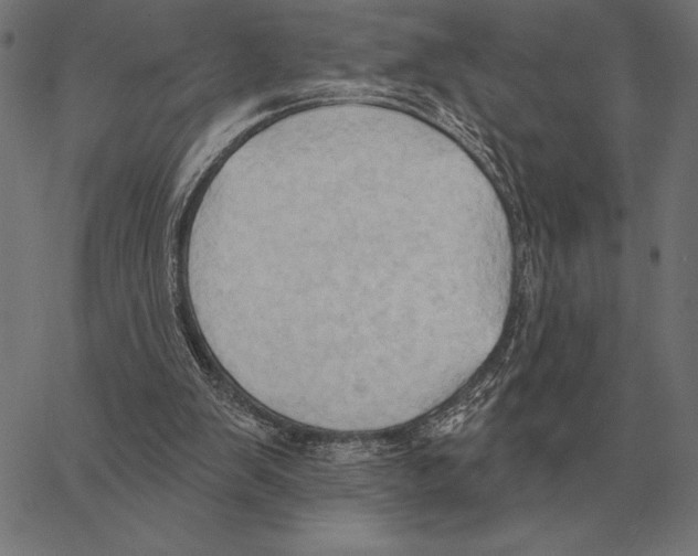 X0000062890103200602101751