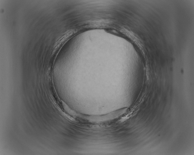 X0000062890105200602101751