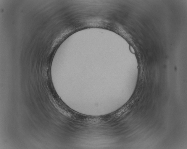 X0000062890106200602101751