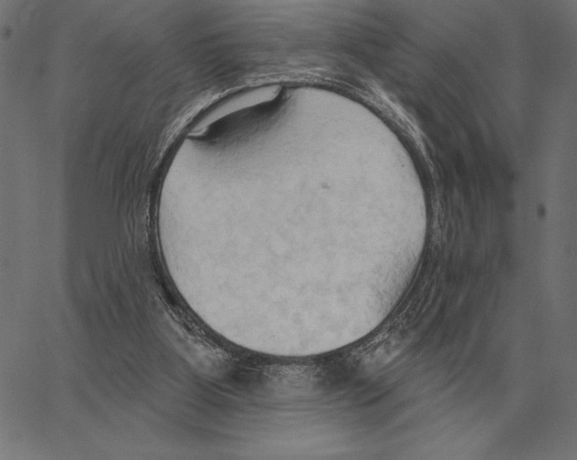 X0000062890107200602101751