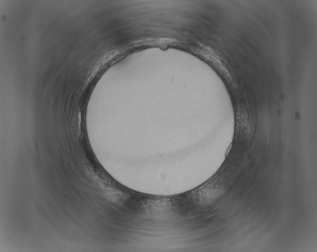 X0000062890110200602101751