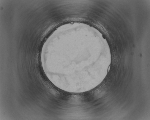 X0000062890111200602101751