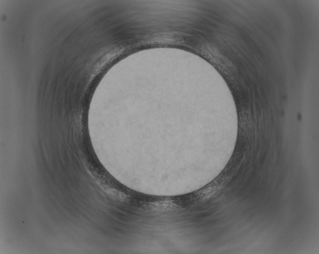 X0000062890112200602101751