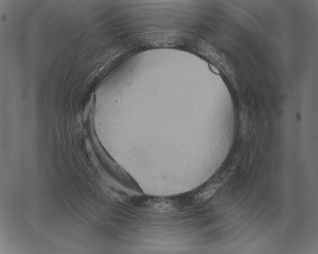 X0000062890113200602101751