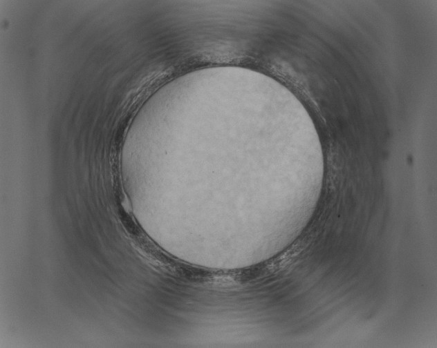 X0000062890114200602101751