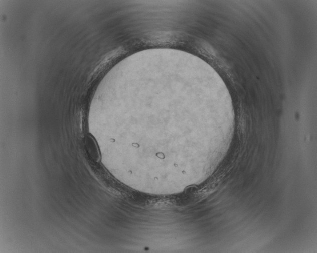 X0000062890115200602101751