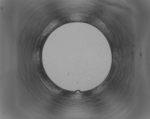 X0000062890116200602101751