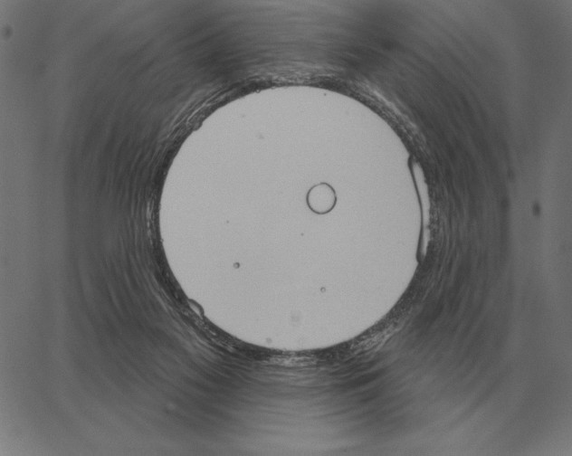 X0000062890117200602101751