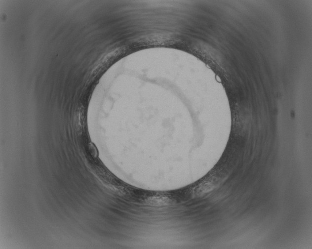 X0000062890119200602101751