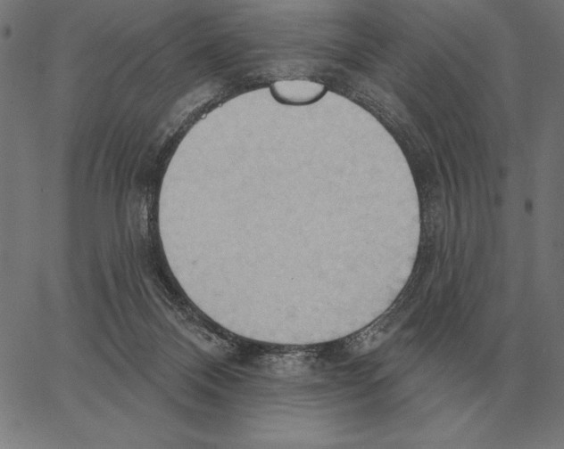 X0000062890120200602101751