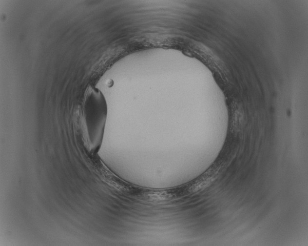 X0000062890121200602101751