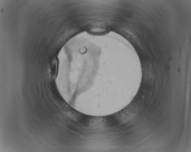 X0000062890123200602101751